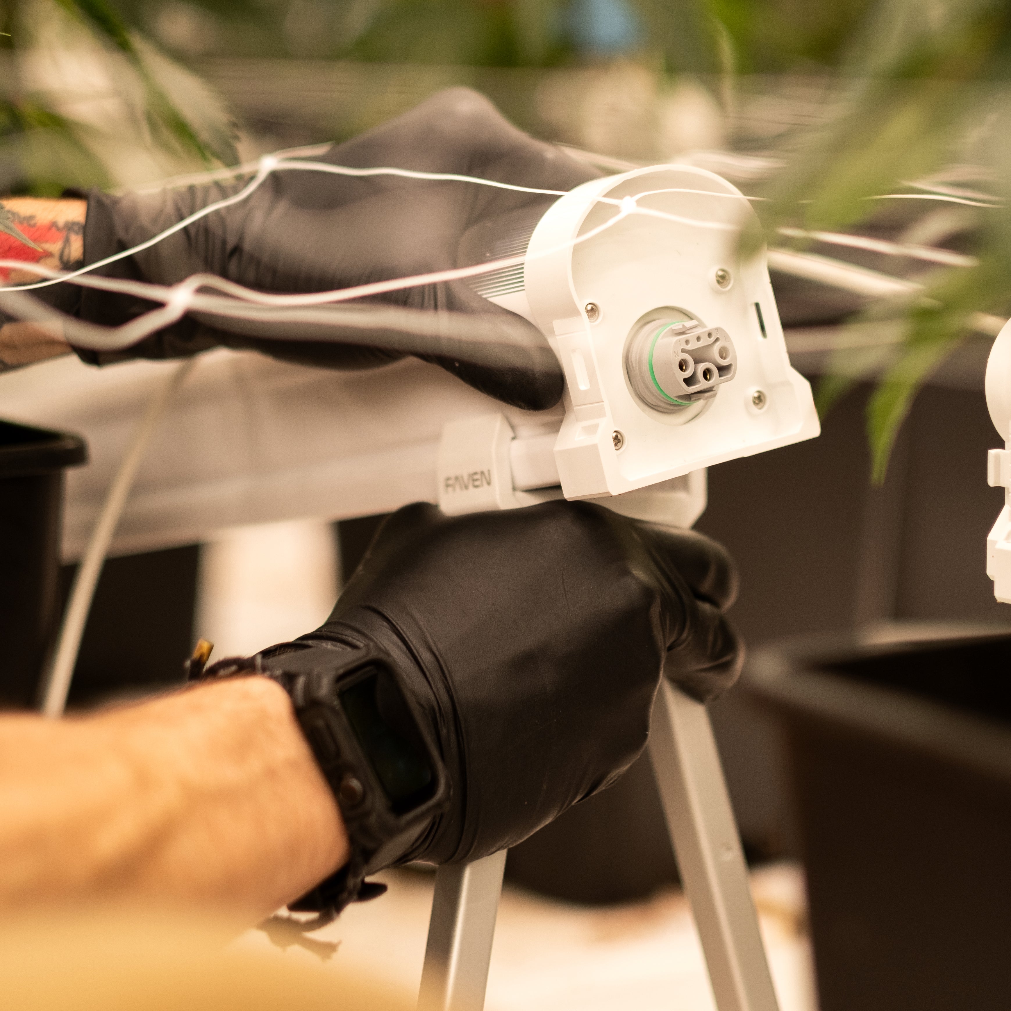 A close-up of a person's gloved hands attaching a Faven light stand to an under canopy light inside a commercial cannabis grow.