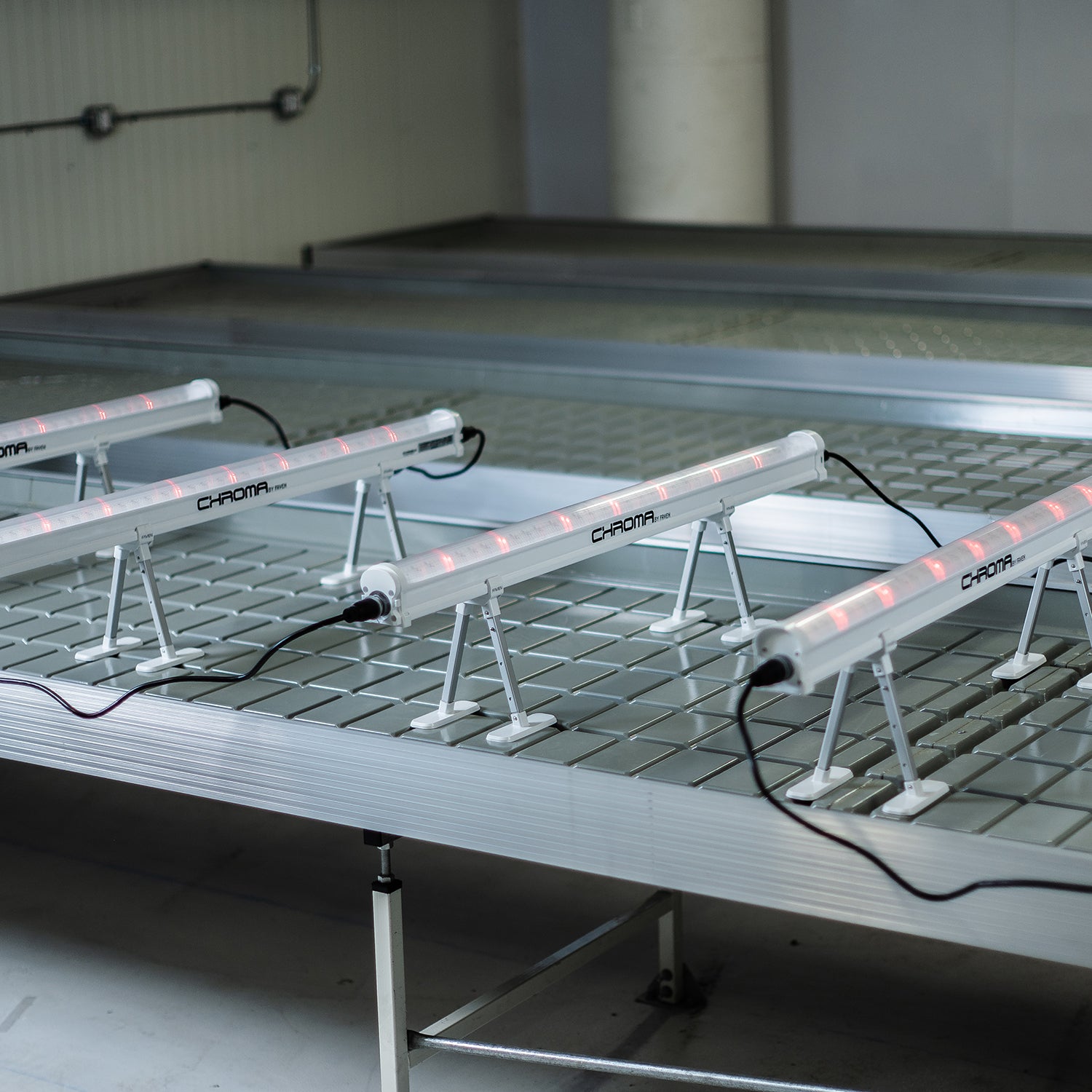 FAven Chroma LED under canopy lights lined up on a shelf in an empty grow room.