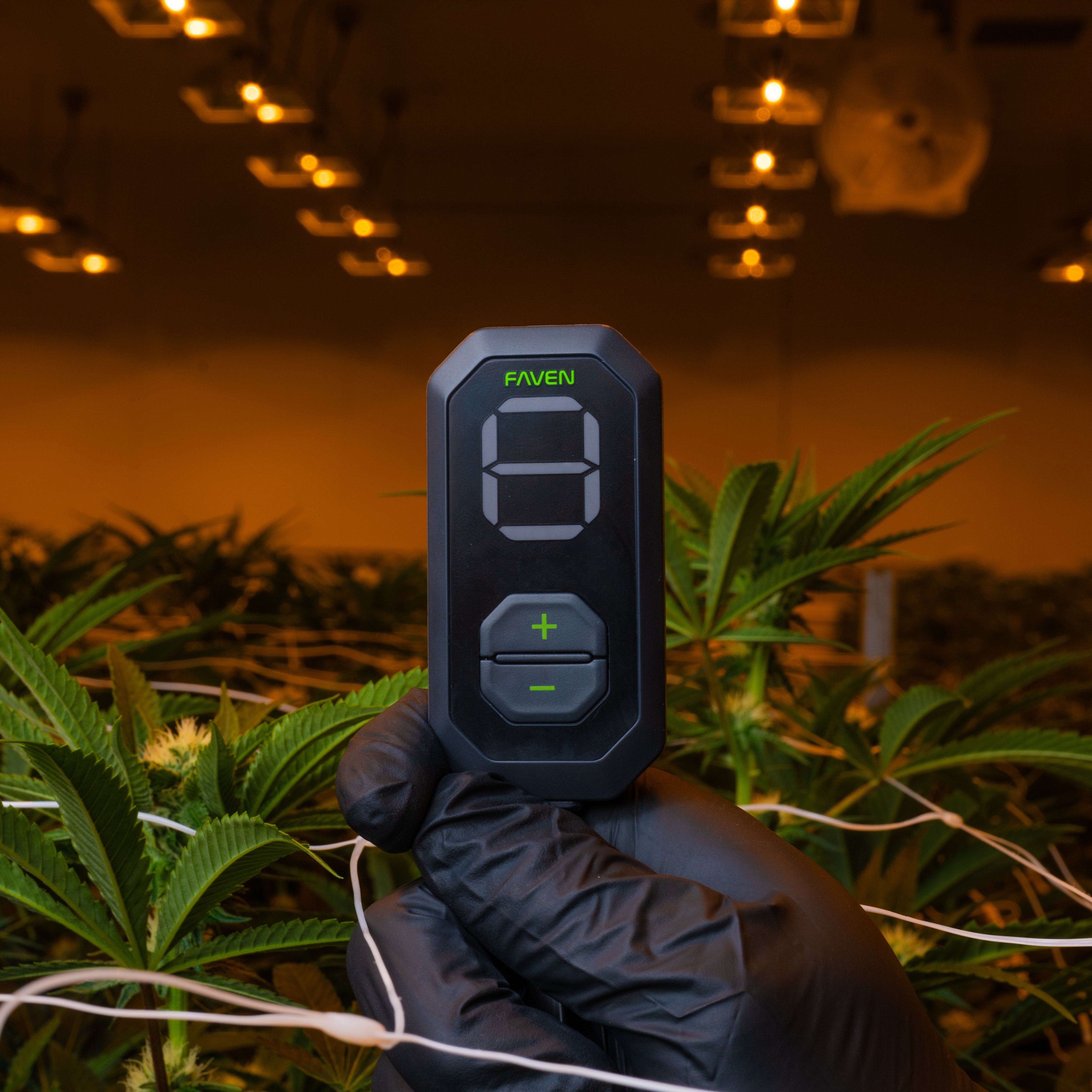 A close-up of the Faven Lighting Mini Controller being held up above the leaves of a cannabis plant in a commercial indoor grow. 