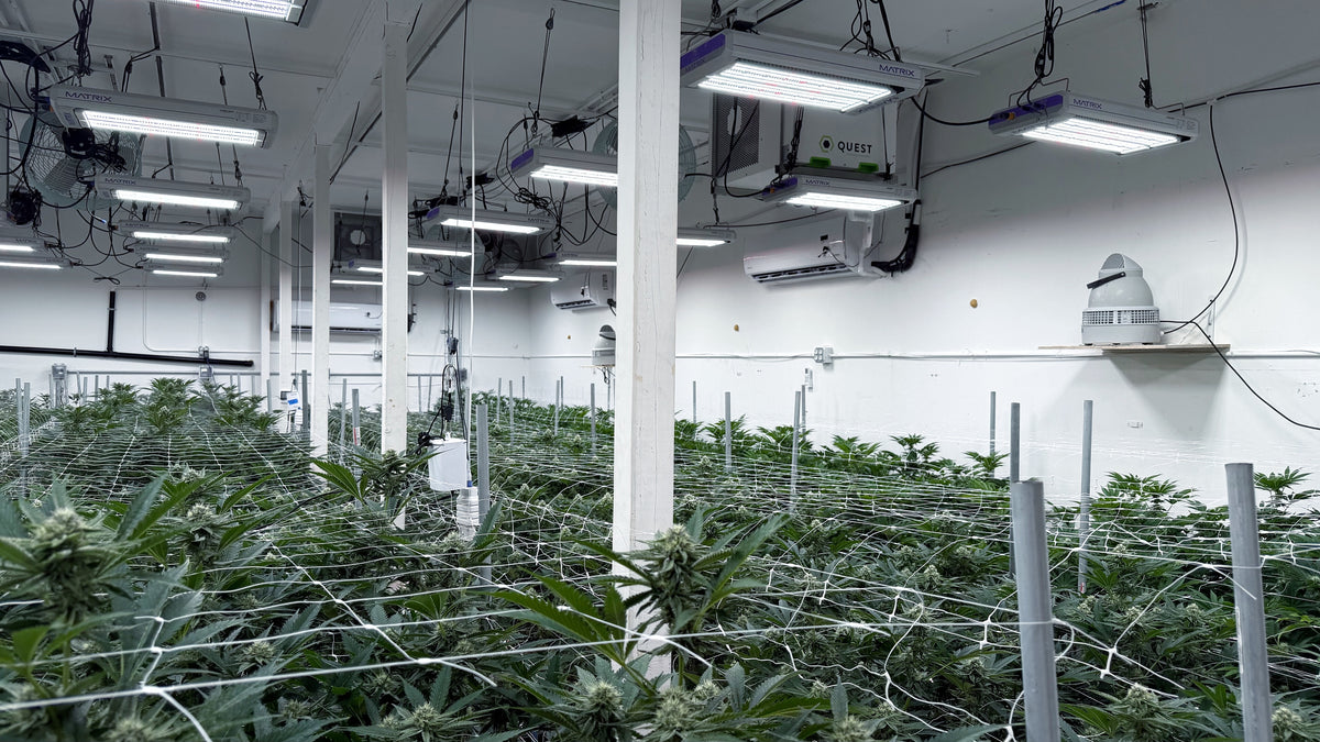 ROOM 1 | HIGH BAY LED
