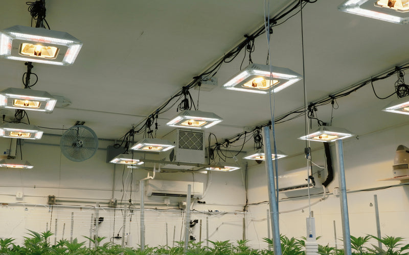 ROOM 3 | HYBRID HPS/LED