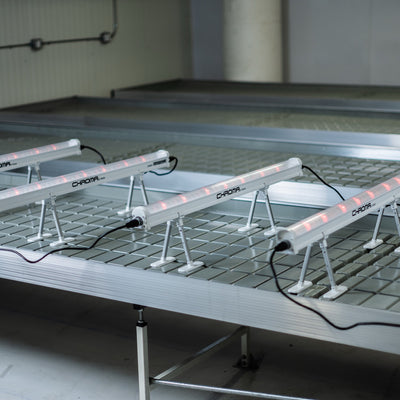 Faven Installation